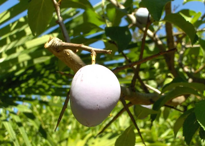 Apartamento By The Sea - 2549 *